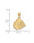 14k Gold NHL LogoArt Chicago Blackhawks Small Pendant